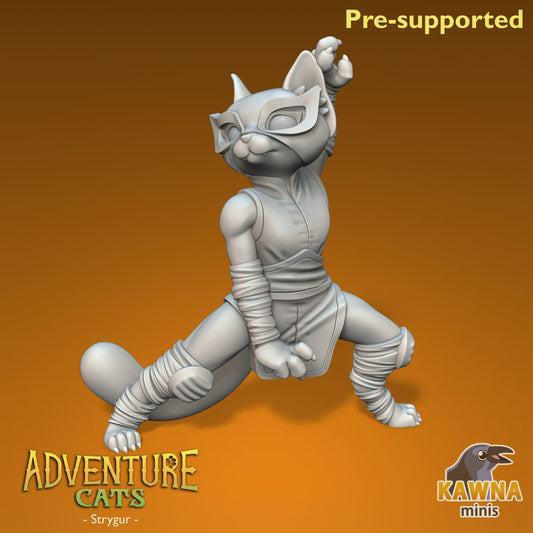 Strygur Monk Cat - Female | Kawna | Adventure Cats | UNPAINTED Miniature in Resin