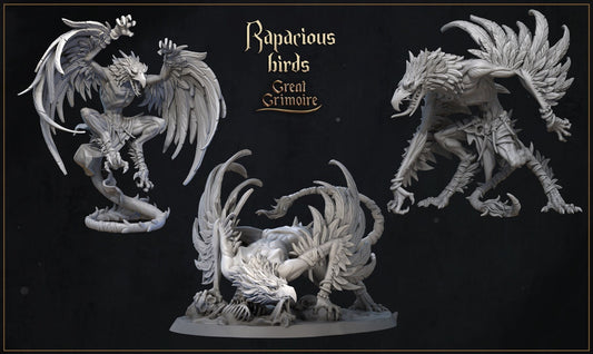 Rapacious Birds (3 versions) | Great Grimoire | UNPAINTED Miniature in Resin