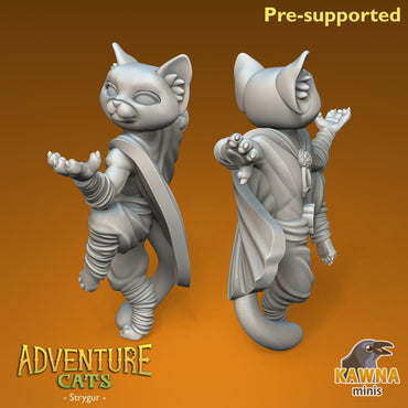Strygur Monk Cat - Male | Kawna | Adventure Cats | UNPAINTED Miniature in Resin