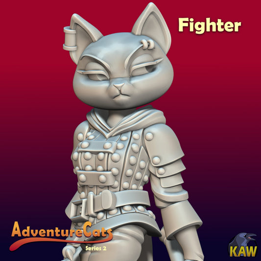 Adventure Cat - Fighter