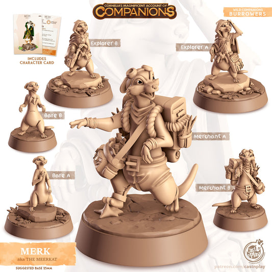 Cordelia's Companions - Merk - Meerkat