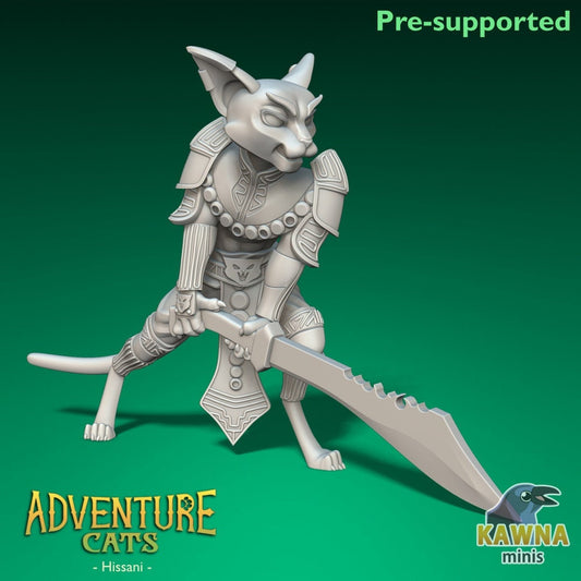 Hissani - Barbarian - Male Cat