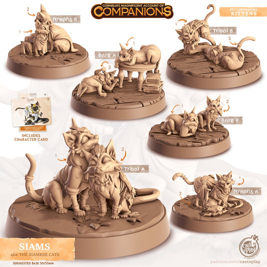 Cordelia's Companions - Siams - Siamese Cats