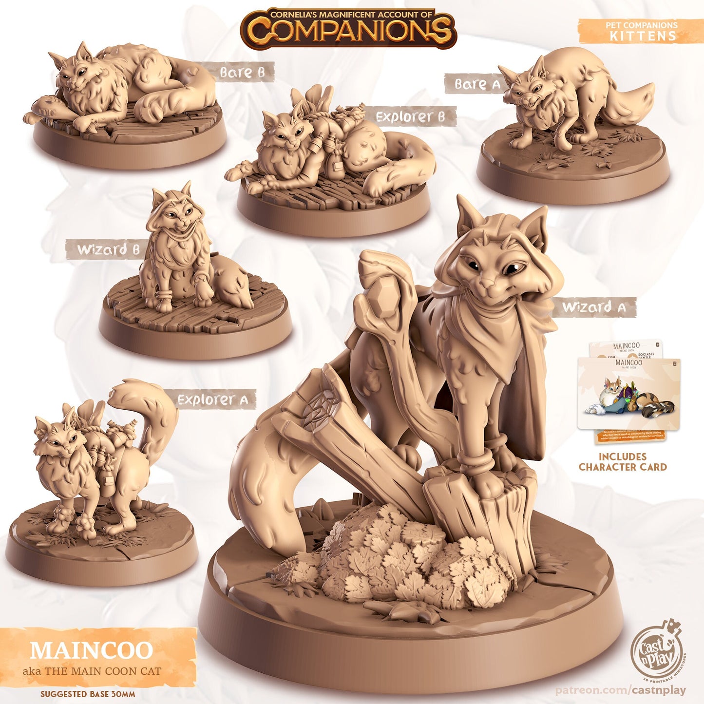Cordelia's Companions - Maincoo - Mainecoon Cat