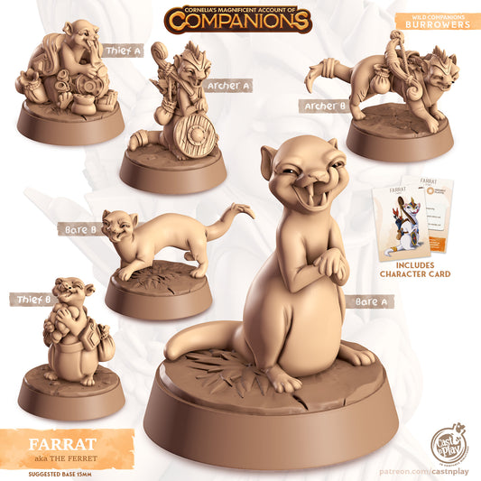 Cordelia's Companions - Farrat - Ferret