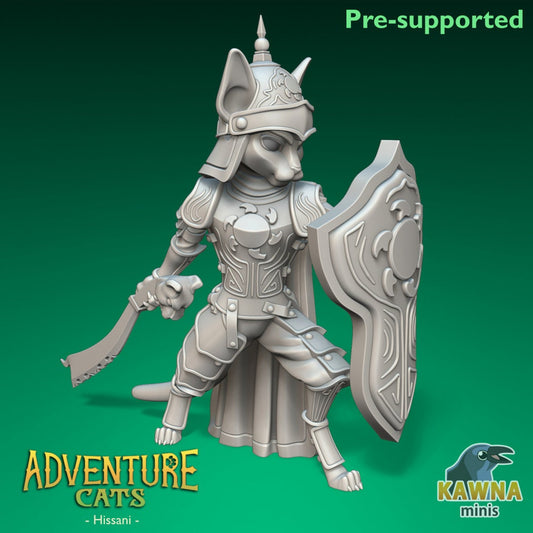 Hissani - Paladin - Male Cat