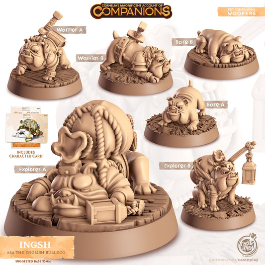 Cordelia's Companions - Ingsh - English Bulldog