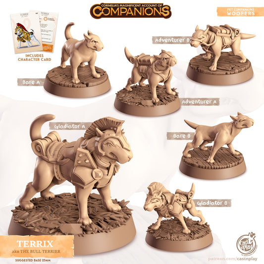 Cordelia's Companions - Terrix - Bull Terrier