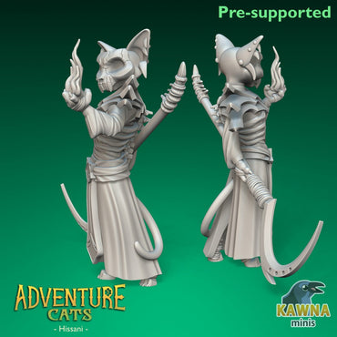 Hissani - Warlock - Male Cat
