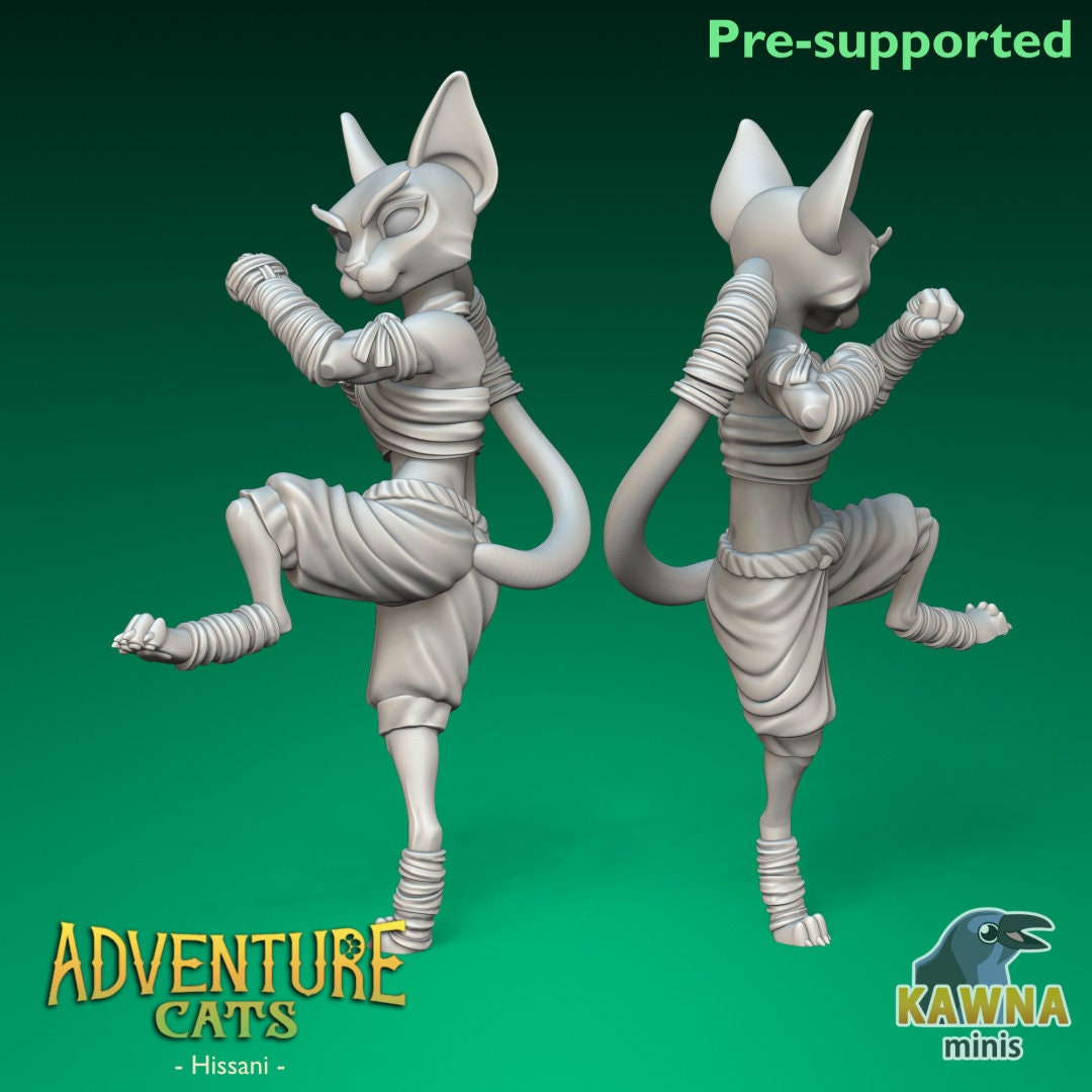 Hissani - Monk - Female Cat
