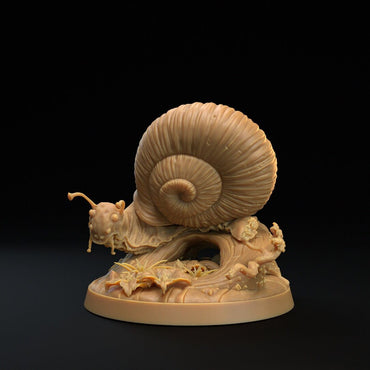 Adventure Snails! - Dragon Trappers Lodge