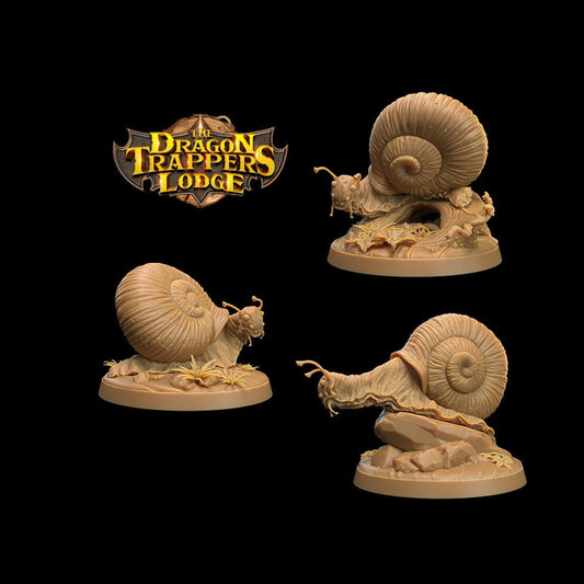 Adventure Snails! - Dragon Trappers Lodge