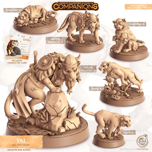 Tai the Tiger | Cordelia's Companions