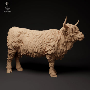 Highland Cow (3 poses) | Animal Den Miniatures | UNPAINTED Miniature in Resin