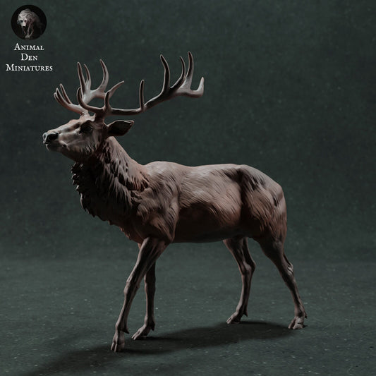 Red Deer Stag | Animal Den Miniatures | UNPAINTED Miniature in Resin