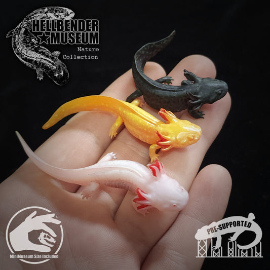 Axolotl (3 poses) | Mexican Walking Fish | Ambystoma Mexicanum | Hellbender Museum | UNPAINTED Miniature in Resin