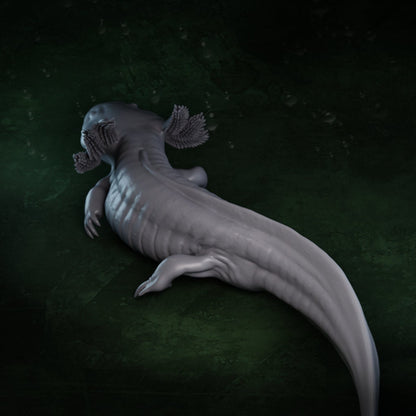 Axolotl (3 poses) | Mexican Walking Fish | Ambystoma Mexicanum | Hellbender Museum | UNPAINTED Miniature in Resin