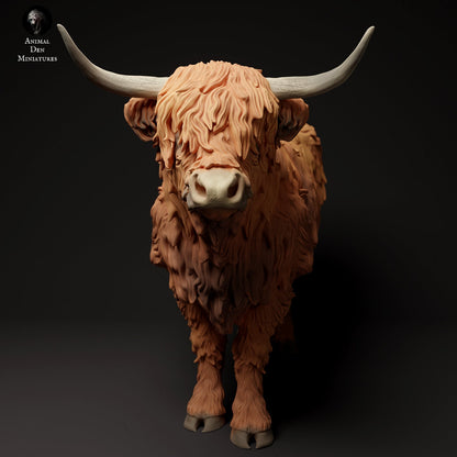 Highland Cow (3 poses) | Animal Den Miniatures | UNPAINTED Miniature in Resin