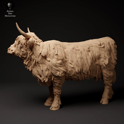 Highland Cow (3 poses) | Animal Den Miniatures | UNPAINTED Miniature in Resin