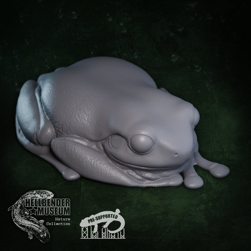 White's Green Tree Frog | Ranoidea Caerulea | Hellbender Museum | UNPAINTED Miniature in Resin