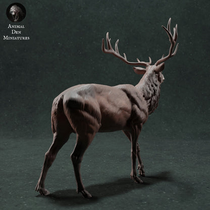 Red Deer Stag | Animal Den Miniatures | UNPAINTED Miniature in Resin