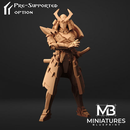 Robot Samurai (3 versions) | Miniatures Blueprint | UNPAINTED Miniature in Resin