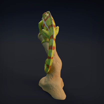 Chameleon | Animal Den Miniatures | UNPAINTED Miniature in Resin