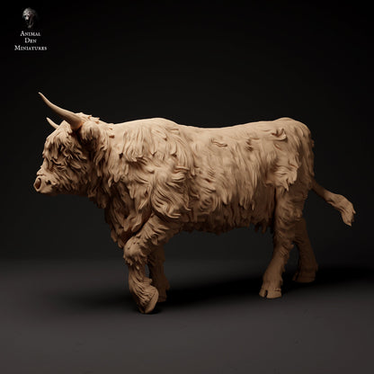 Highland Cow (3 poses) | Animal Den Miniatures | UNPAINTED Miniature in Resin
