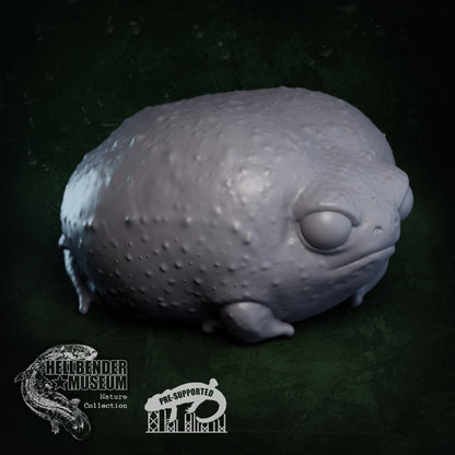Common Rain Frog | Breviceps Adspersus | Hellbender Museum | UNPAINTED Miniature in Resin