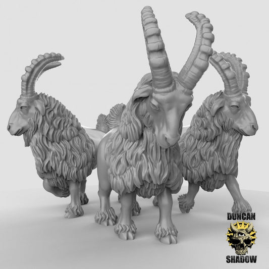 Goats!  (Set of 3)| Duncan Shadow | UNPAINTED Miniature in Resin