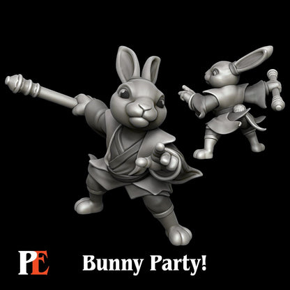 Bunny Monk | Bunny Party | Printed Encounters | UNPAINTED Miniature in Resin