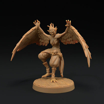 Harpy Pirates (3 versions) | Hunt for The Last Sea Angel | Dragon Trappers Lodge | UNPAINTED Miniature in Resin