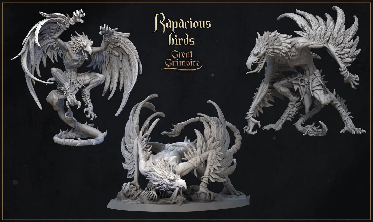 Rapacious Birds (3 versions) | Great Grimoire | UNPAINTED Miniature in Resin