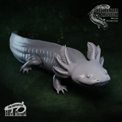 Axolotl (3 poses) | Mexican Walking Fish | Ambystoma Mexicanum | Hellbender Museum | UNPAINTED Miniature in Resin