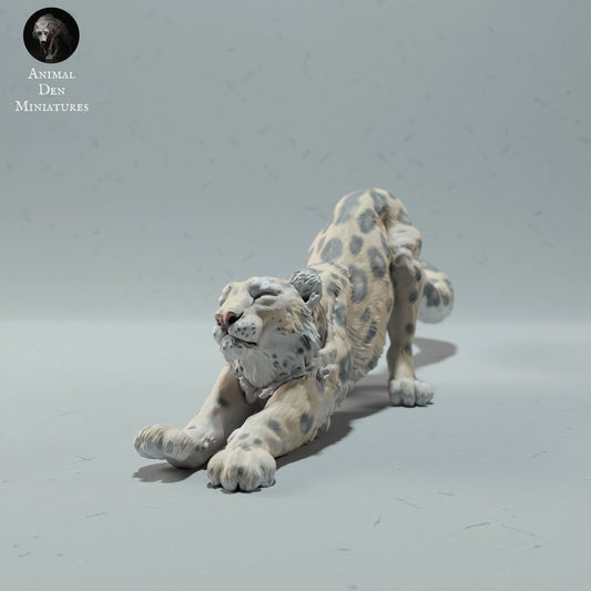 Snow Leopard Stretching | Animal Den Miniatures | UNPAINTED Miniature in Resin