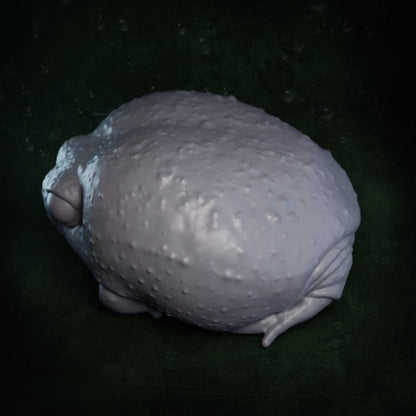 Common Rain Frog | Breviceps Adspersus | Hellbender Museum | UNPAINTED Miniature in Resin