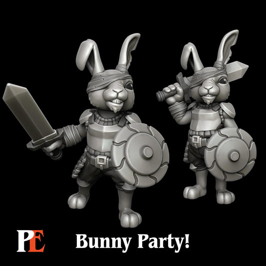 Bunny Fighter | Bunny Party | Printed Encounters | UNPAINTED Miniature in Resin