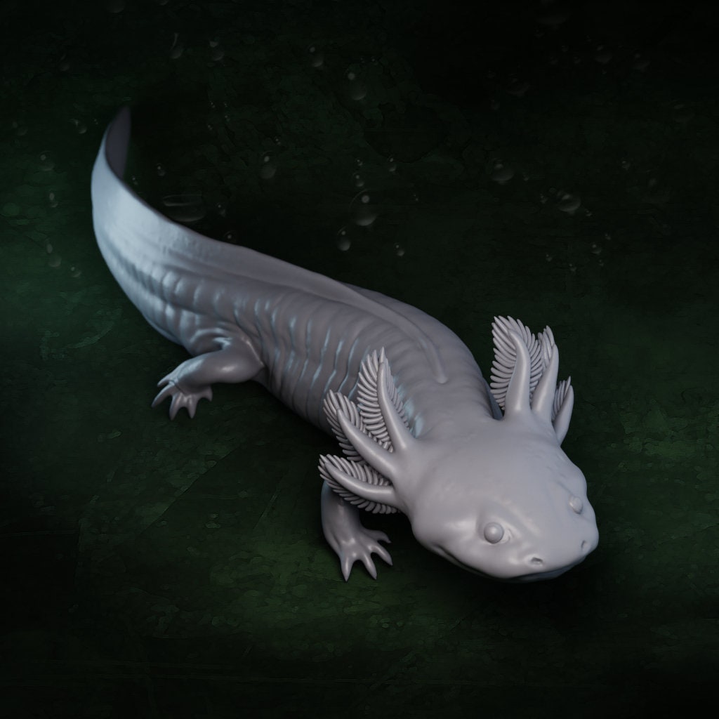 Axolotl (3 poses) | Mexican Walking Fish | Ambystoma Mexicanum | Hellbender Museum | UNPAINTED Miniature in Resin
