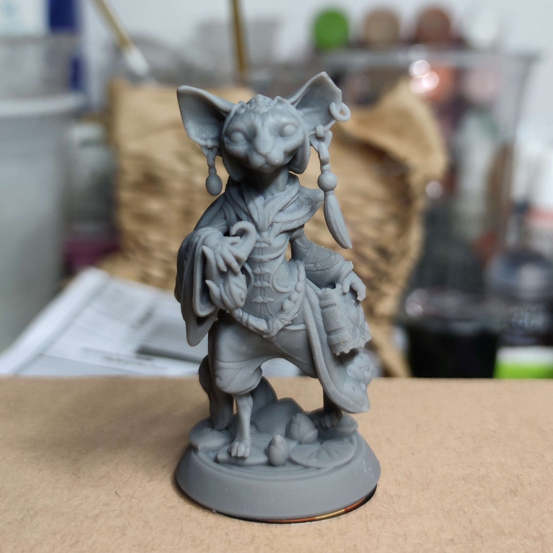 Sphynx Cat Mage | Pepunki Creatures | UNPAINTED Miniature in Resin