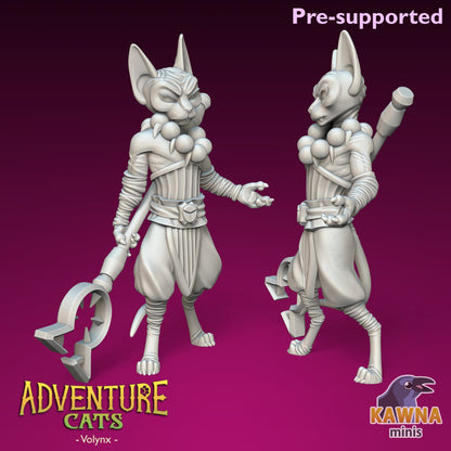 Volynx Monk Cat - Male | Kawna | Adventure Cats | UNPAINTED Miniature in Resin