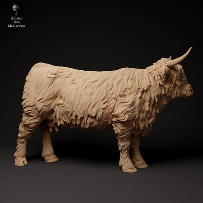 Highland Cow (3 poses) | Animal Den Miniatures | UNPAINTED Miniature in Resin
