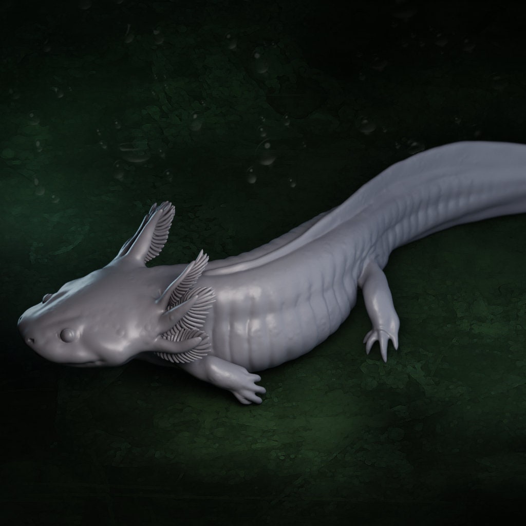 Axolotl (3 poses) | Mexican Walking Fish | Ambystoma Mexicanum | Hellbender Museum | UNPAINTED Miniature in Resin
