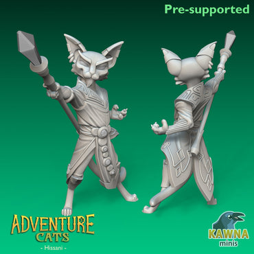 Hissani Sorcerer Cat - Male | Kawna | Adventure Cats | UNPAINTED Miniature in Resin