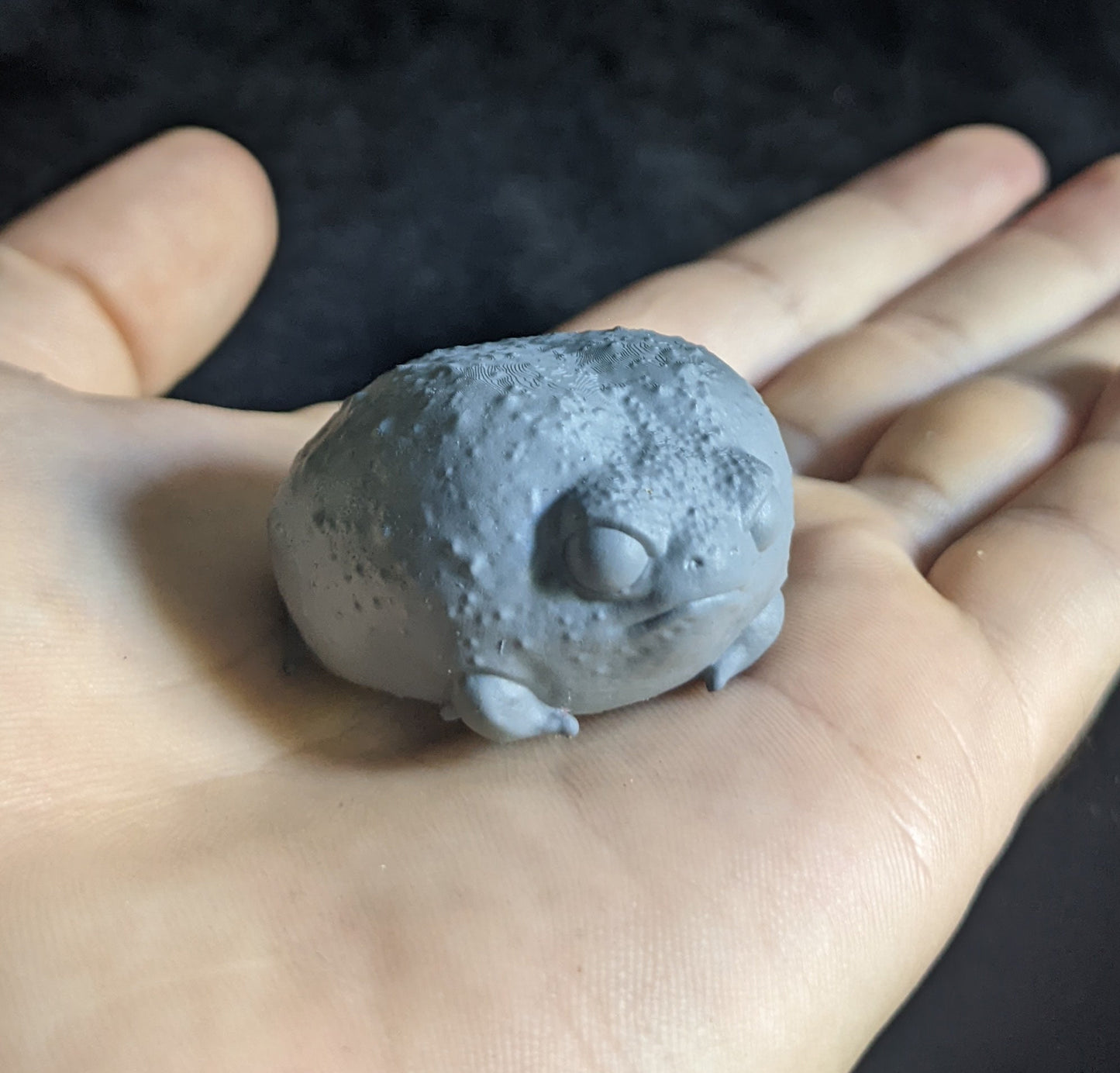 Common Rain Frog | Breviceps Adspersus | Hellbender Museum | UNPAINTED Miniature in Resin