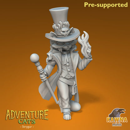 Strygur Warlock Cat - Male | Kawna | Adventure Cats | UNPAINTED Miniature in Resin