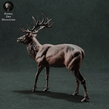 Red Deer Stag | Animal Den Miniatures | UNPAINTED Miniature in Resin