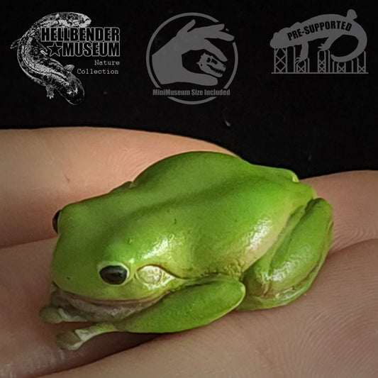 White's Green Tree Frog | Ranoidea Caerulea | Hellbender Museum | UNPAINTED Miniature in Resin