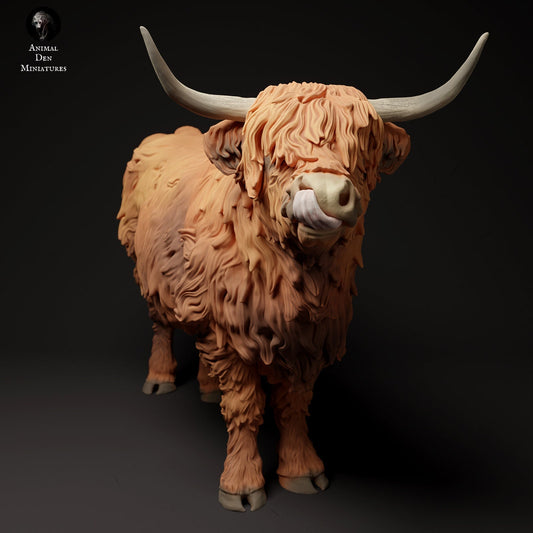 Highland Cow (3 poses) | Animal Den Miniatures | UNPAINTED Miniature in Resin