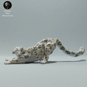 Snow Leopard Stretching | Animal Den Miniatures | UNPAINTED Miniature in Resin