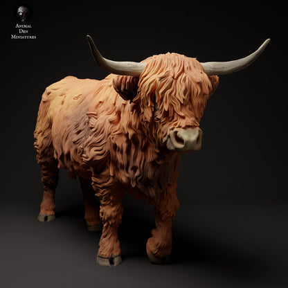 Highland Cow (3 poses) | Animal Den Miniatures | UNPAINTED Miniature in Resin